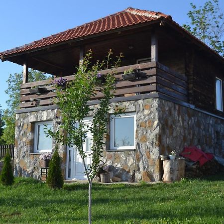 Zlatibor Cottages Kültér fotó
