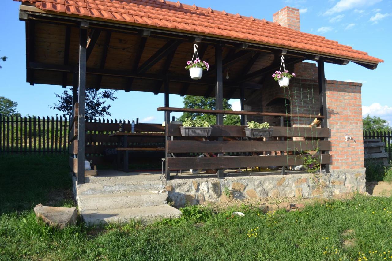 Zlatibor Cottages Kültér fotó