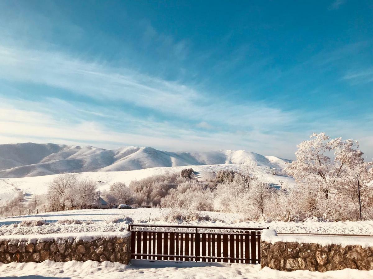 Zlatibor Cottages Kültér fotó